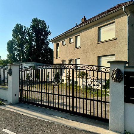 Dynasty Home Spa Appartement 100M2 Jacuzzi Terrasse Holtzheim Kültér fotó